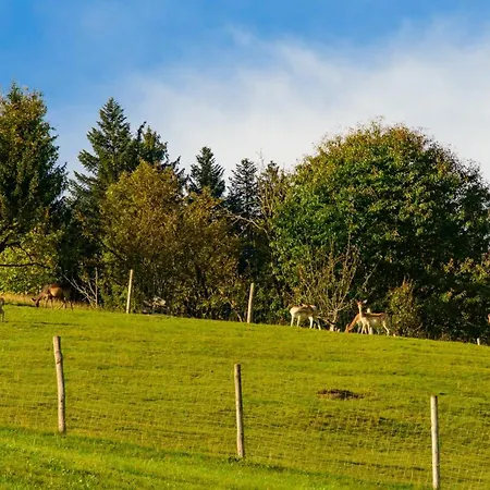Schrahlehen 3* Wagrain