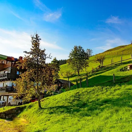 Oda ve Kahvaltı Schrahlehen