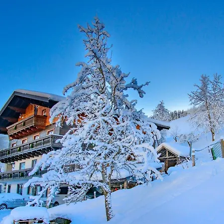 Schrahlehen Отель типа 