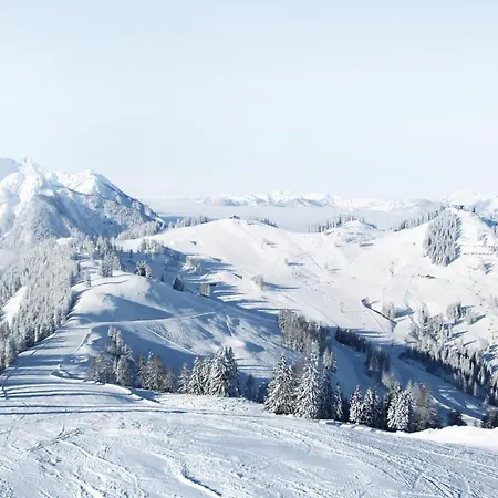 Schrahlehen 3*