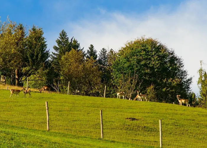 Schrahlehen 3* Ваграйн